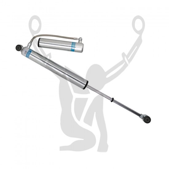 Bilstein 25-255003