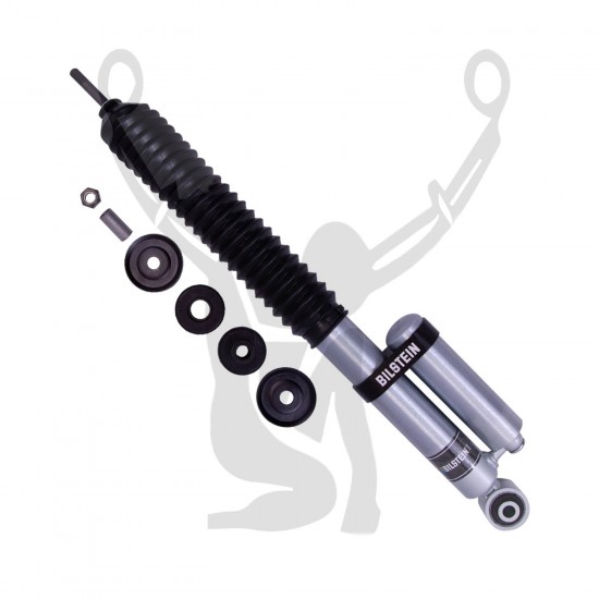 Bilstein 25-316919