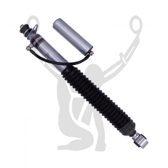 Bilstein 25-325096